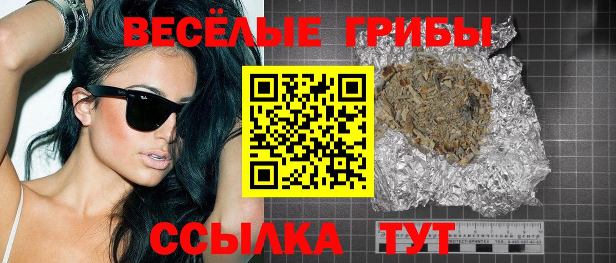 Златоуст  Псилоцибиновые грибы мицелий  Вход с VPN 