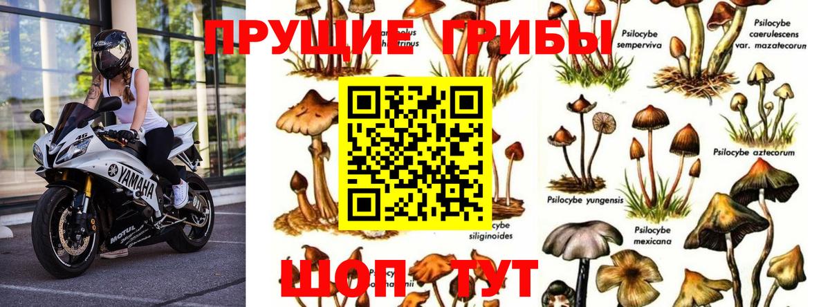 Галлюциногенные грибы мицелий Златоуст